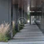 Luxury bathroom features that enhance everyday routines